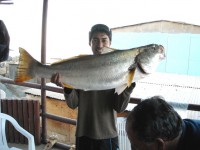 /album/momentos-de-premiaciones/dscn0077-jpg/