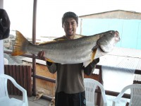 /album/momentos-de-premiaciones/dscn0078-jpg/